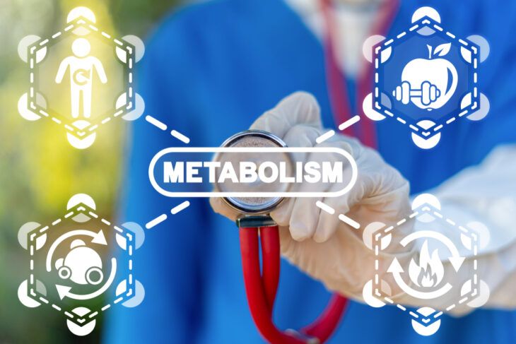 Burning Facts About Your Metabolism