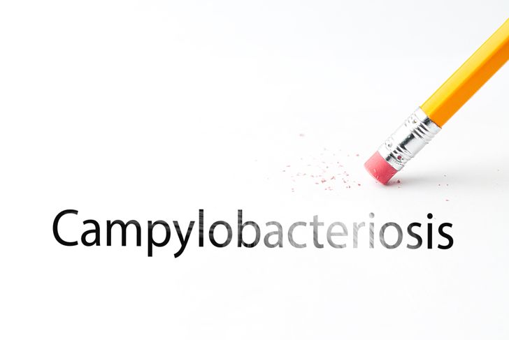 Campylobacter Infection: Symptoms and Treatments
