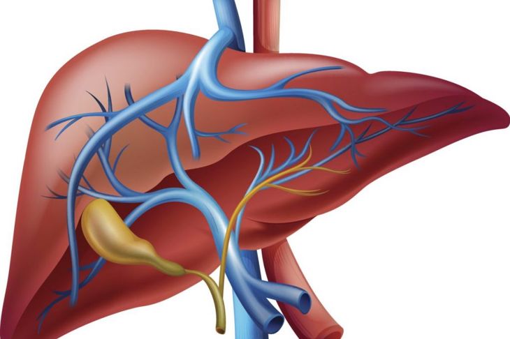 Causes, Complications, and Treatments of Primary Sclerosing Cholangitis