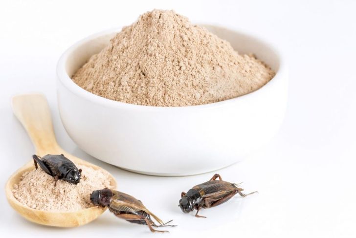 Cricket Flour: Well Worth Stomaching