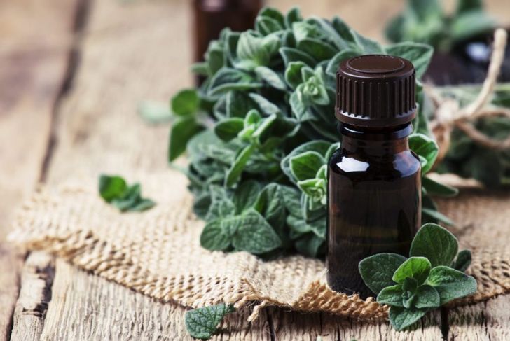 Discover the Health Benefits of Marjoram