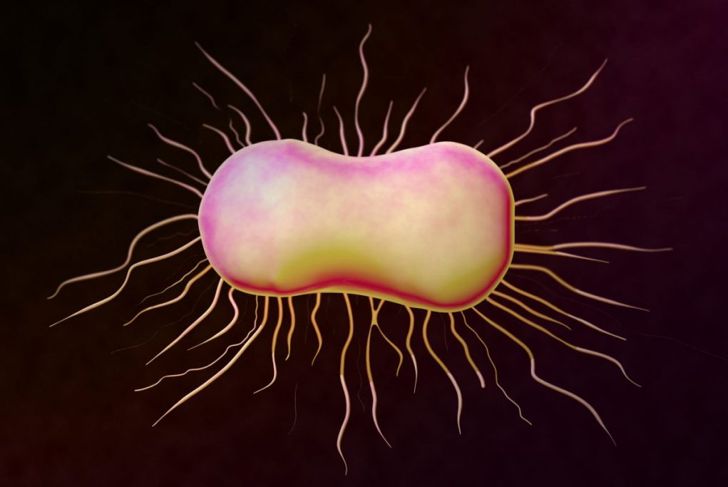E. coli Causes and Treatments