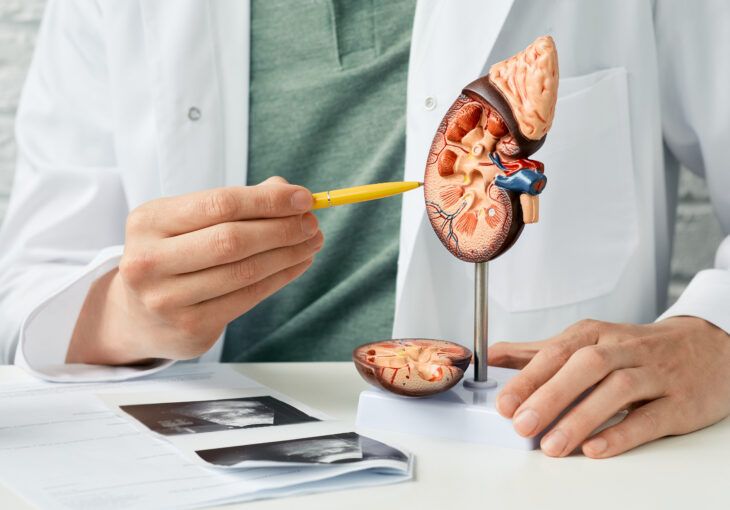 Everything to Know About the Renal Diet for Kidney Health
