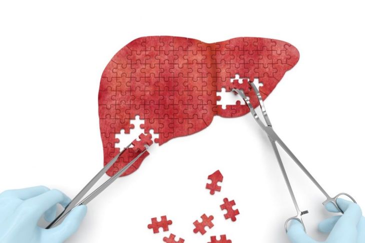 Facts About Liver Function Tests