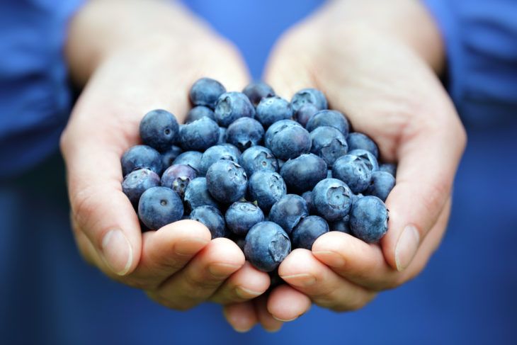 Foods That Can Help Boost Memory