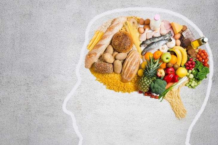 Foods That May Slow or Prevent Alzheimer's