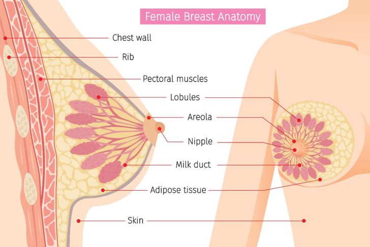 Frequently Asked Questions About Breast Lumps