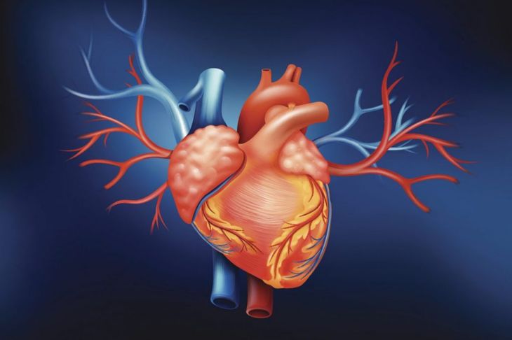 Frequently Asked Questions About Heart Valve Disease