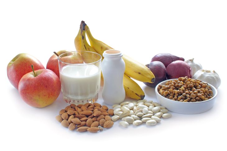 Frequently Asked Questions About Prebiotic Foods