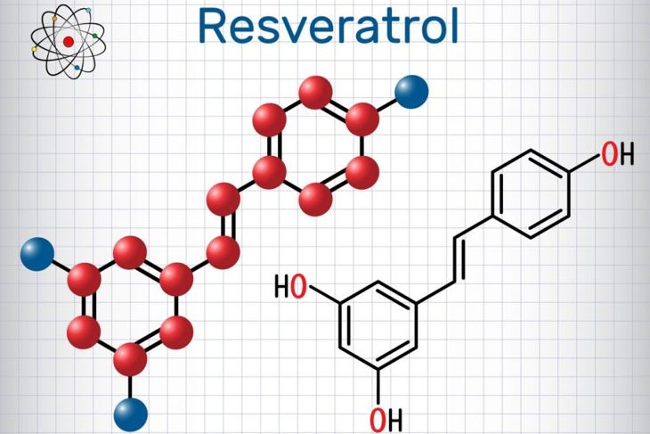 Frequently Asked Questions and Benefits of Resveratrol