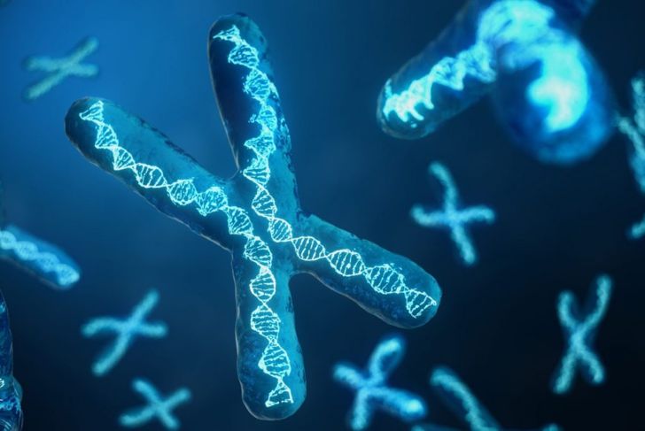 Genetic Mutation Impacts of Hunter Syndrome