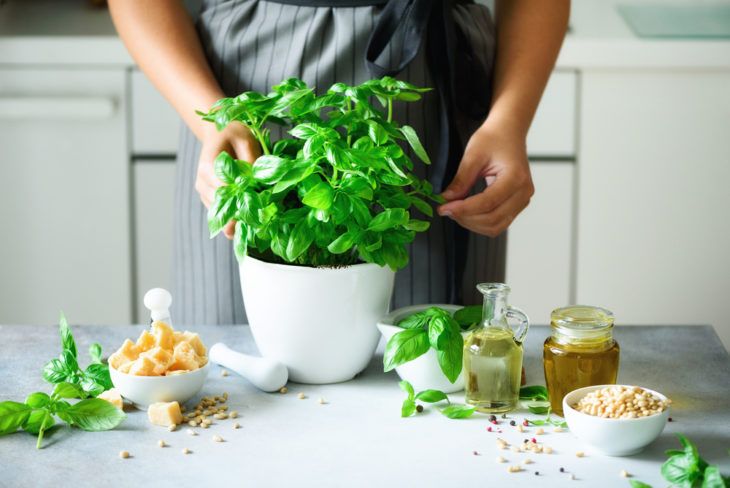 Homegrown Vegetables & Herbs with Serious Health Advantages