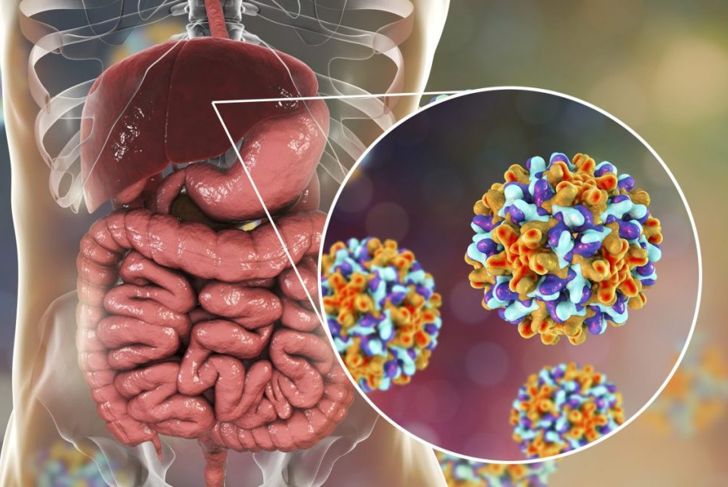 How Long the Flu, Hepatitis and Other Viruses Live Outside the Body