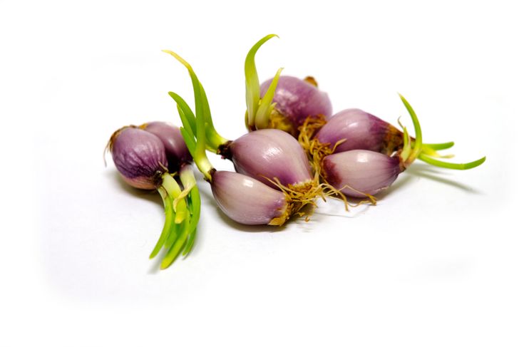 Investigating 10 of the Health Benefits of Shallots