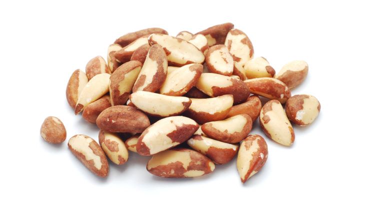 Nuts You Should Eat