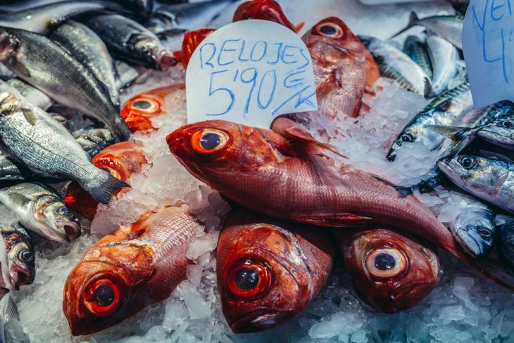 Seafood Catches to Buyer Beware
