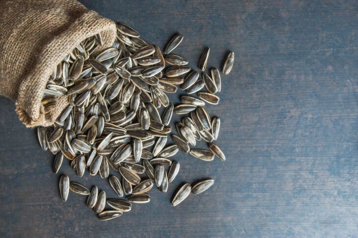 Seeds With Anti-Aging Benefits