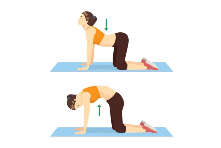 Senior Exercises That Help Strengthen Your Lower Back