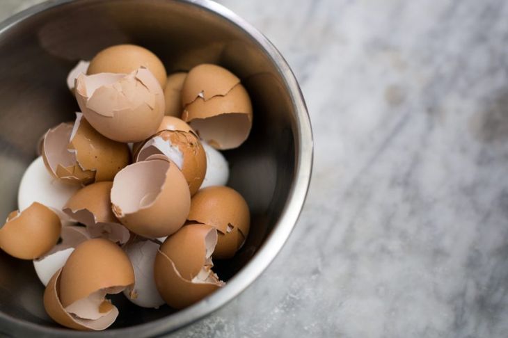 Surprising Benefits of Adding Eggshell to Your Diet