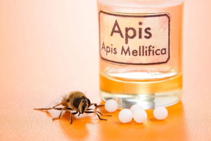 Surprising Benefits of Apitherapy