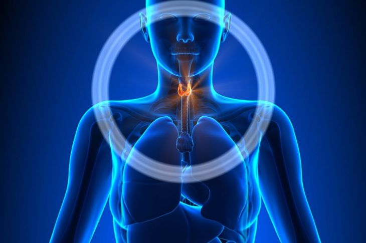 Symptoms and Causes of Hypoparathyroidism