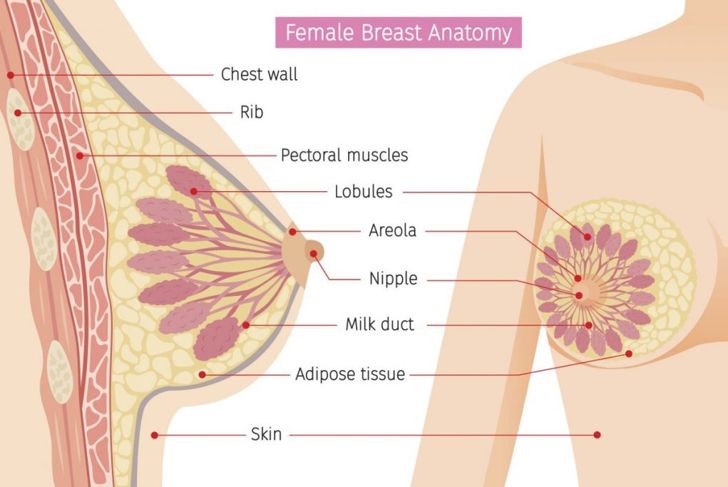 Ten Frequently Asked Questions About Breast Infections