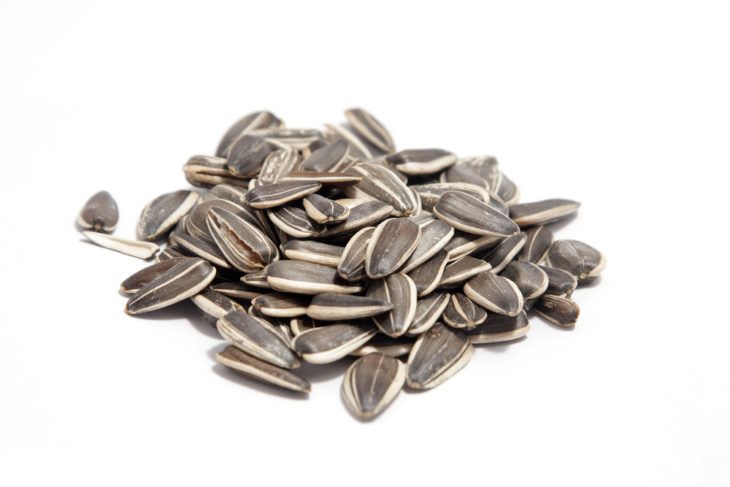 The Health Benefits of Eating Sunflower Seeds