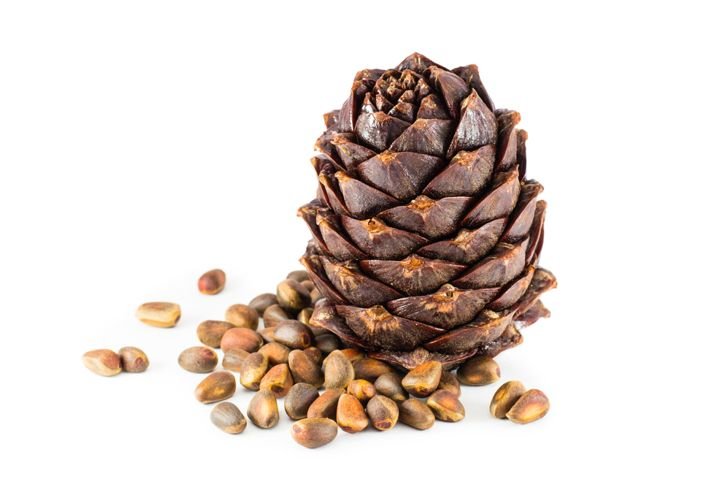 The Health Benefits of Pine Nuts