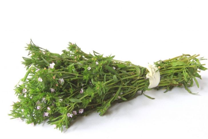 The Health Benefits of Summer Savory