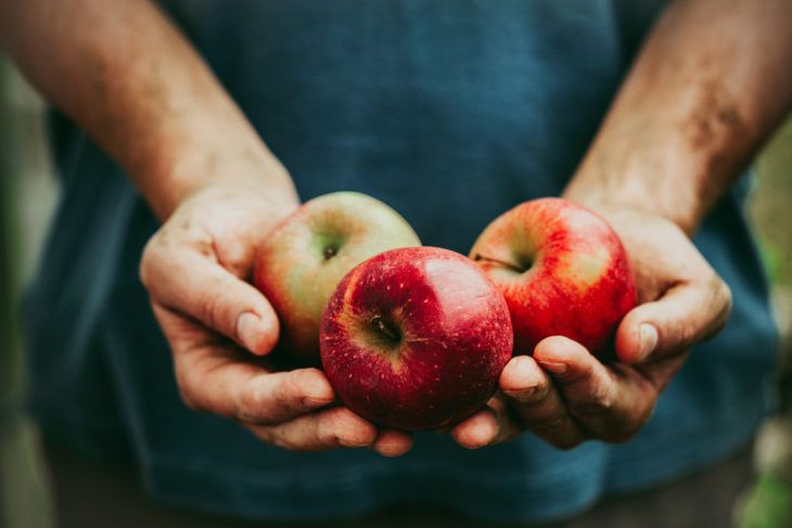 The Incredible Health Benefits of Apples