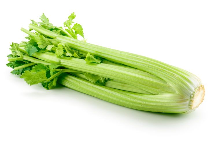 The Incredible Health Benefits of Eating Celery