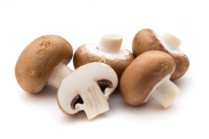 The Incredible Health Benefits of Eating Mushrooms