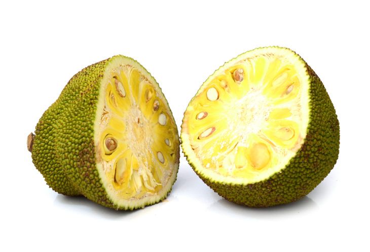 The Incredible Health Benefits of Jackfruit