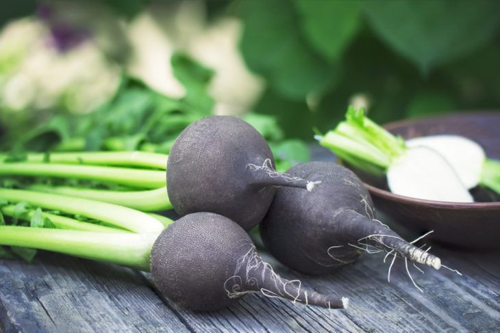 The Incredible Health Benefits of Radishes