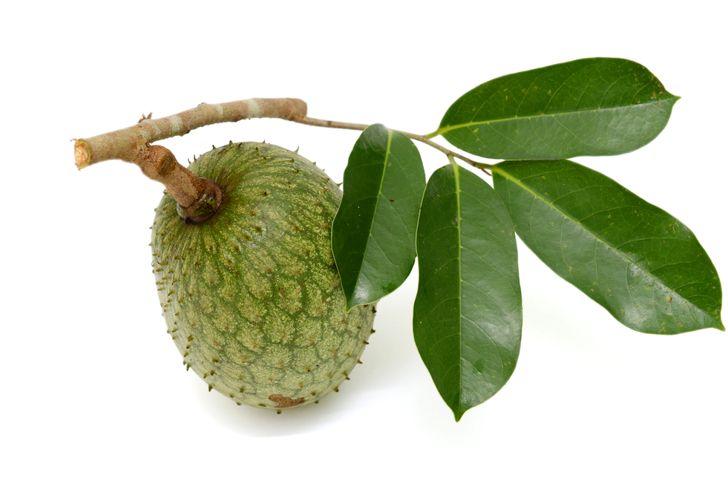 The Incredible Health Benefits of Soursop