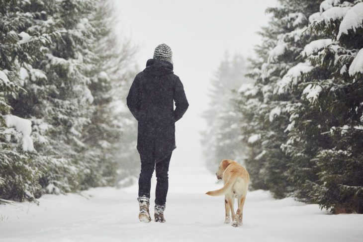 Tips to Survive the Peak of Winter Blues