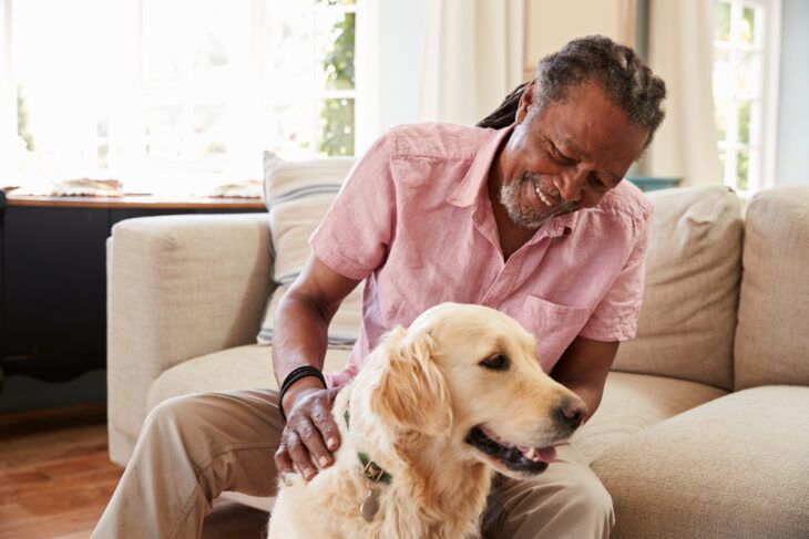 Top Dog Breeds for Seniors