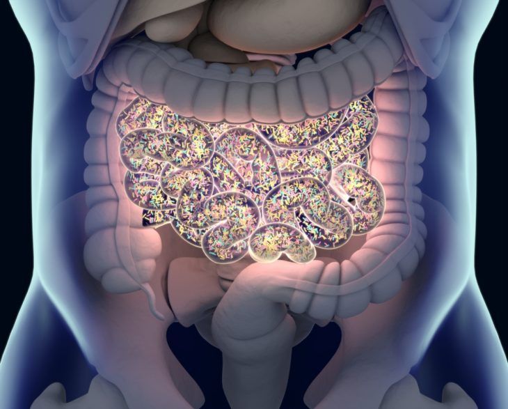 Try to Stomach These Interesting Facts About Your Gut Health