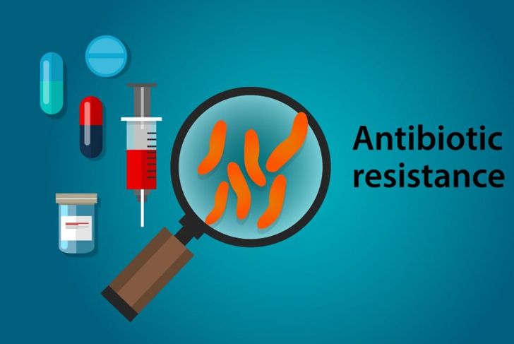 Understanding Antibiotic Resistance