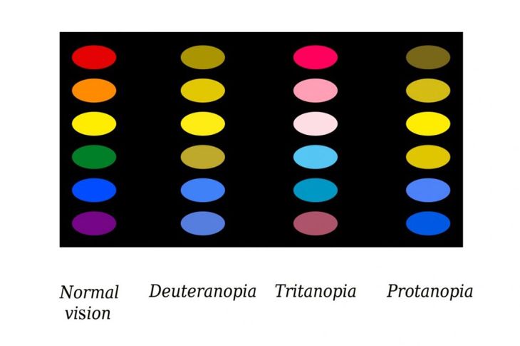 Understanding the Spectrum of Color Blindness