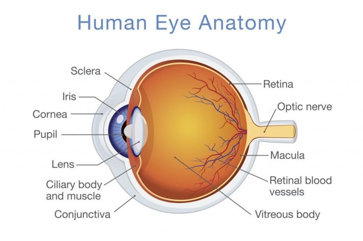 Uveitis is a Serious Eye Disease Masquerading as Minor