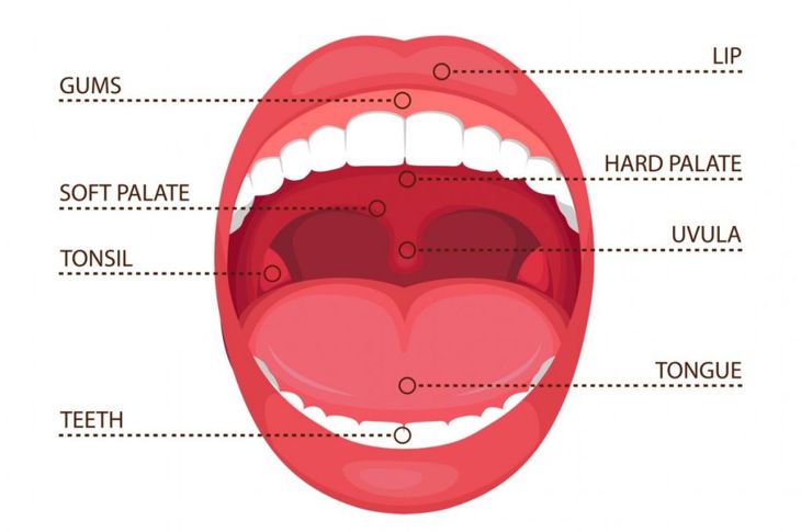 What Causes a Tingling Tongue?