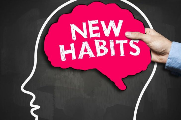 What Happens in the Brain When Habits Form?
