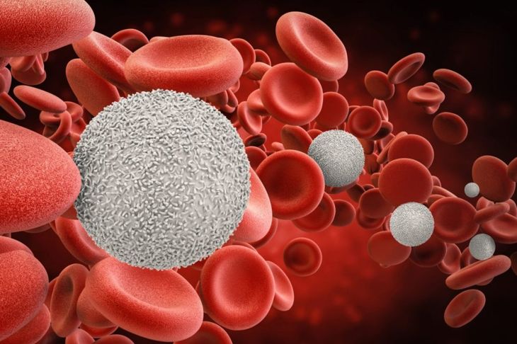 What is Hemoglobin?
