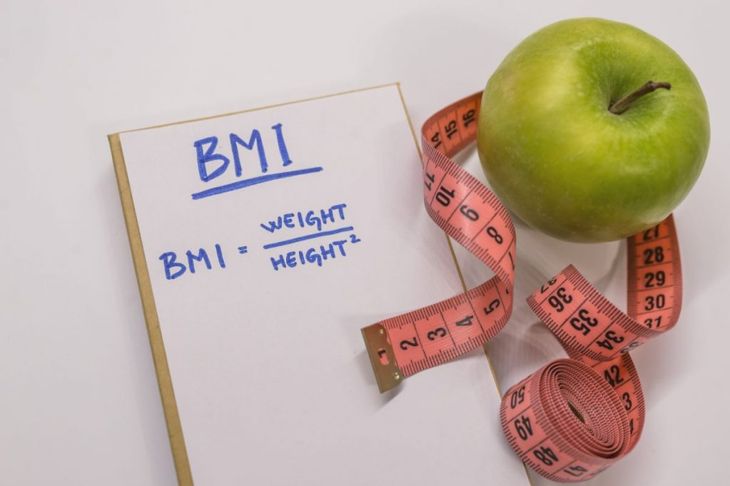What is the Body Mass Index?