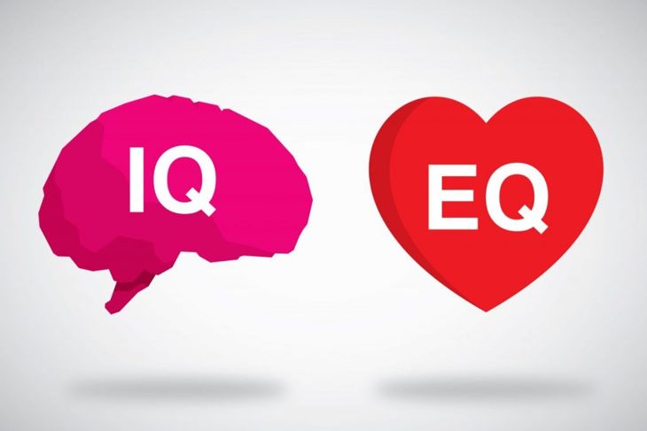 What is the IQ Scale?