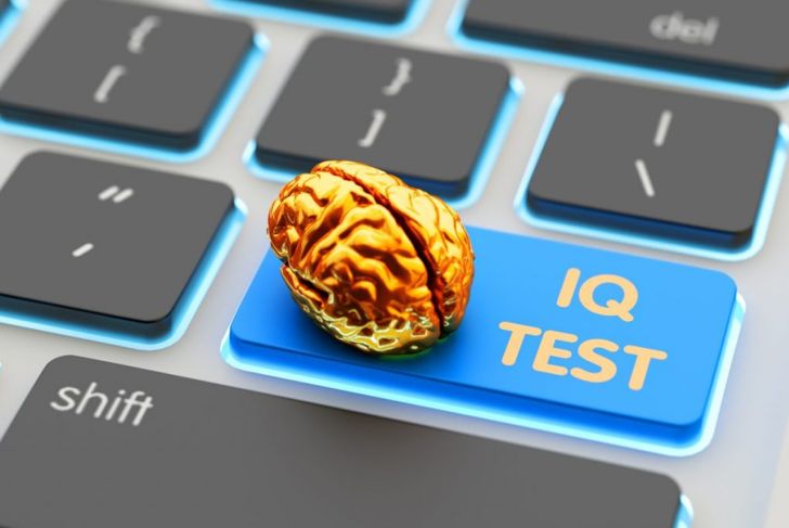 What is the IQ Scale?
