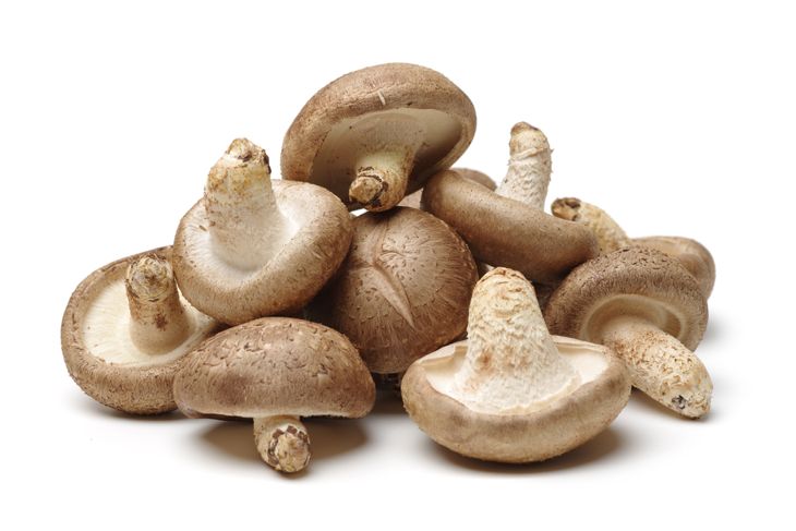 What Makes Shiitake Mushrooms So Healthy?