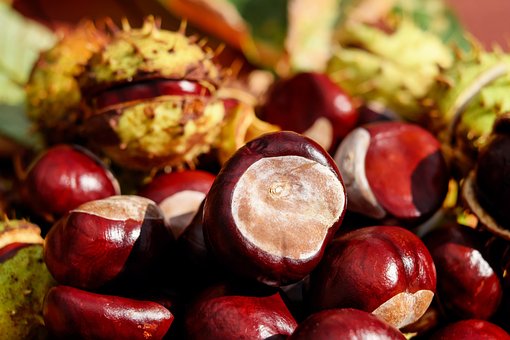 What is the Nutritional Value of Chestnuts and Is Chestnuts Healthy for You?