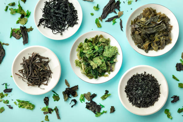 What is the Nutritional Value of Seaweed and Is Seaweed Healthy for You?